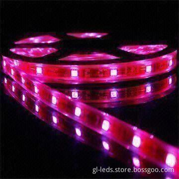 36W Waterproof Flexible LED Strip with Energy-Saving Super-Bright LED and 12/24V DC Input Voltage